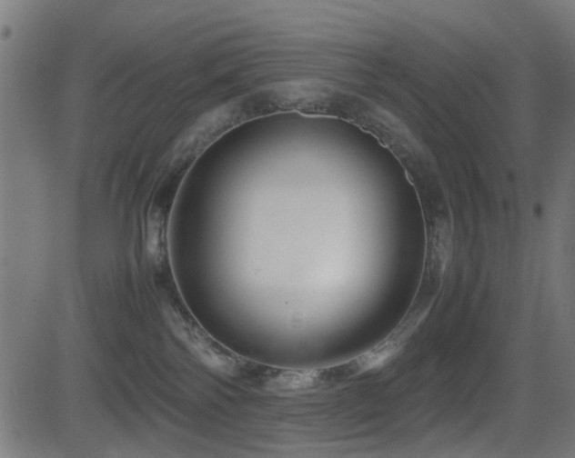 X0000081450138200701121241