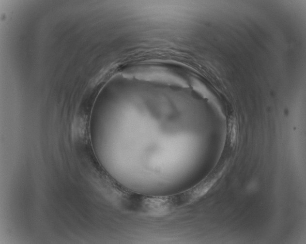 X0000081450139200701121241