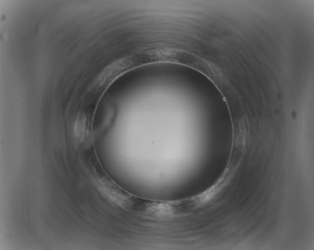 X0000081450140200701121241