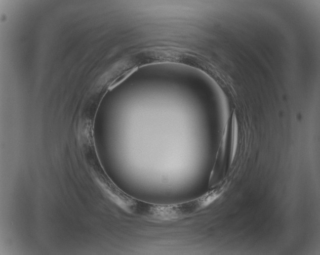 X0000081450141200701121241