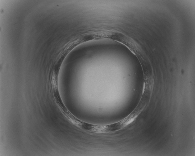 X0000081450143200701121241