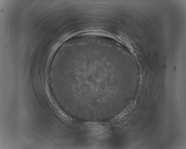 X0000081450145200701121240