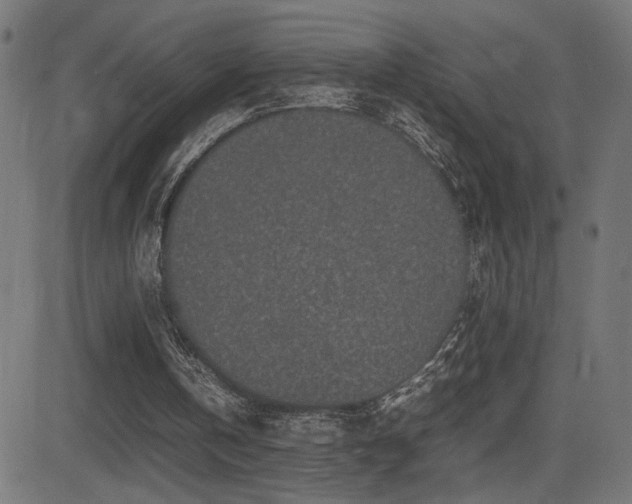 X0000081450146200701121240