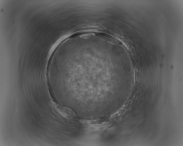 X0000081450147200701121240