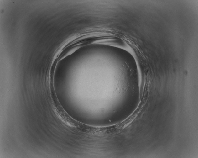 X0000081450148200701121241