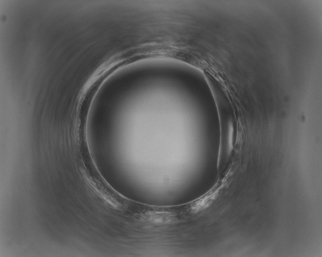 X0000081450150200701121241