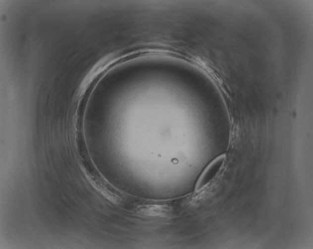 X0000081450151200701121241