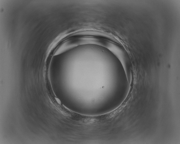 X0000081450152200701121241