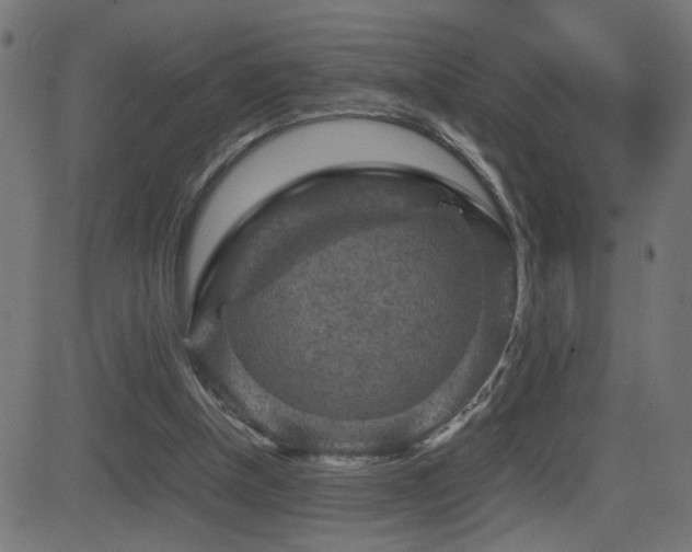 X0000081450154200701121241