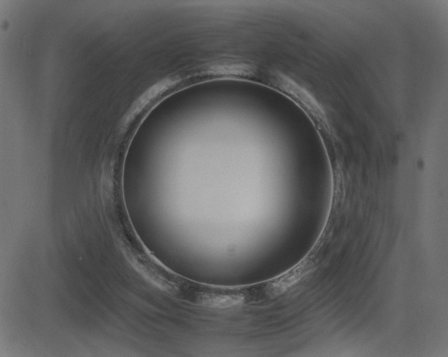 X0000081450155200701121241