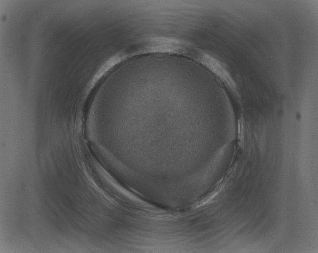 X0000081450156200701121241