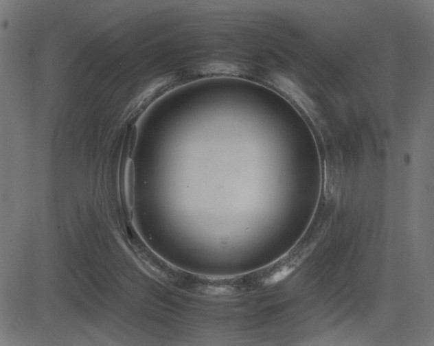 X0000081450157200701121241