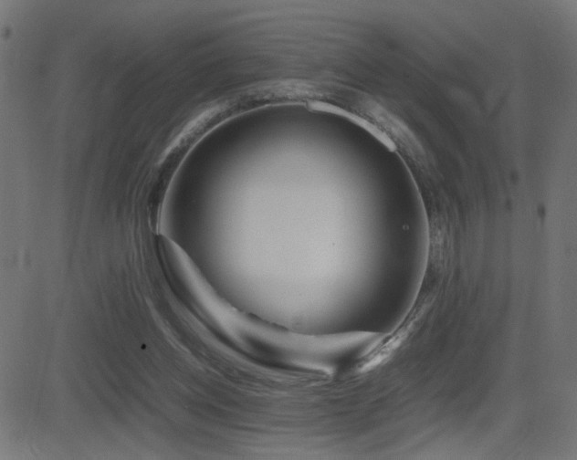 X0000081450158200701121241