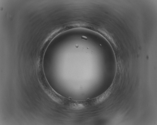 X0000081450159200701121241