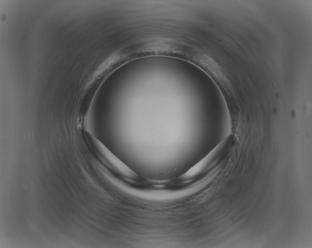 X0000081450160200701121241