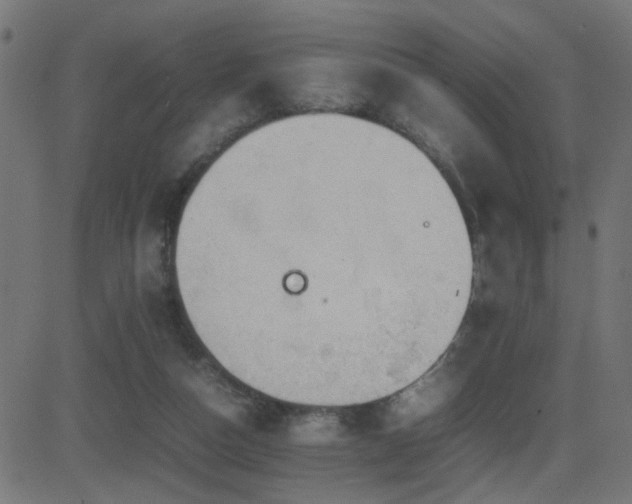 X0000081450162200701121241