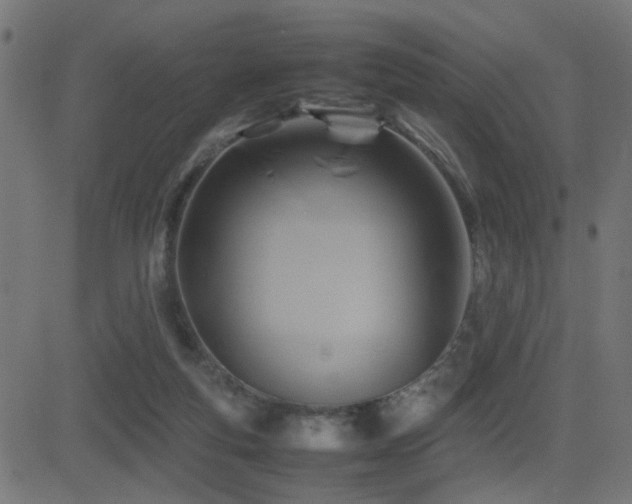 X0000081450163200701121241