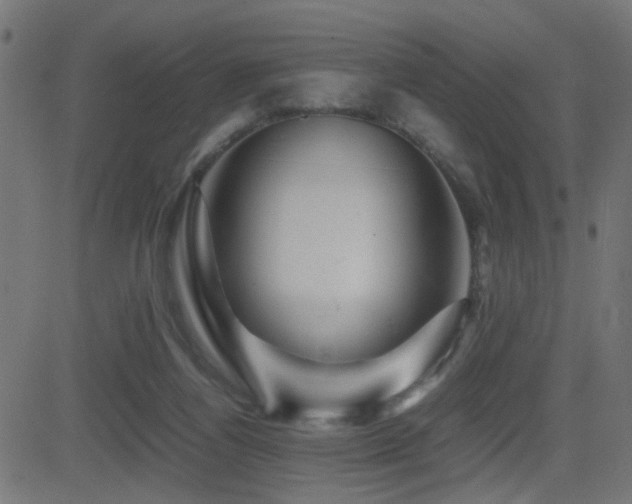 X0000081450164200701121241