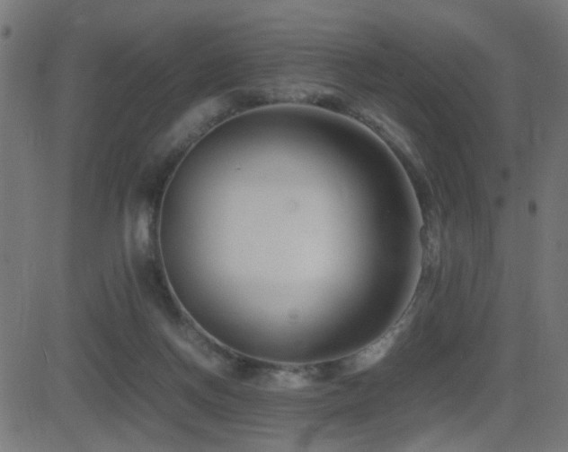 X0000081450166200701121241