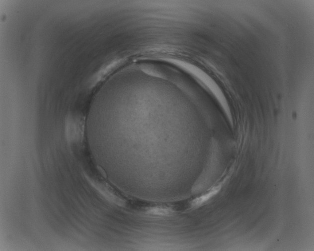 X0000081450168200701121241