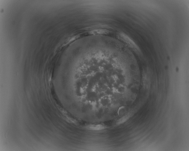 X0000081450169200701121241