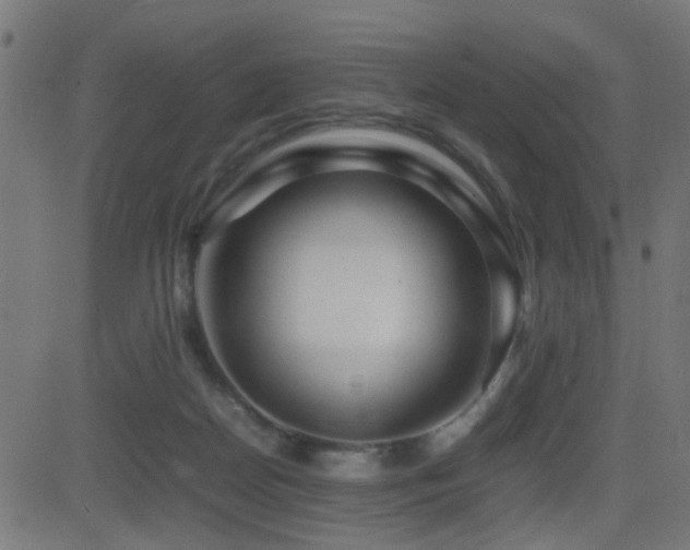 X0000081450170200701121241