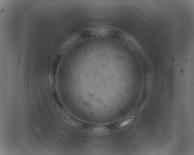 X0000081450173200701121241