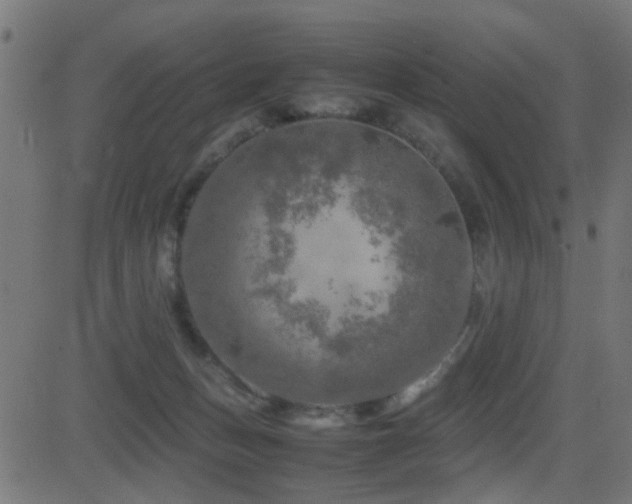 X0000081450175200701121241