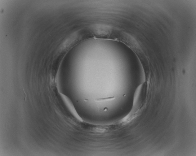 X0000081450176200701121241