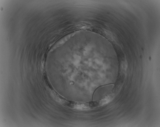 X0000081450177200701121241