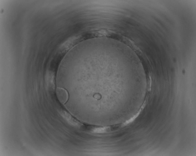 X0000081450178200701121241