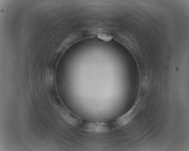 X0000081450179200701121241