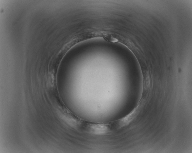 X0000081450183200701121241