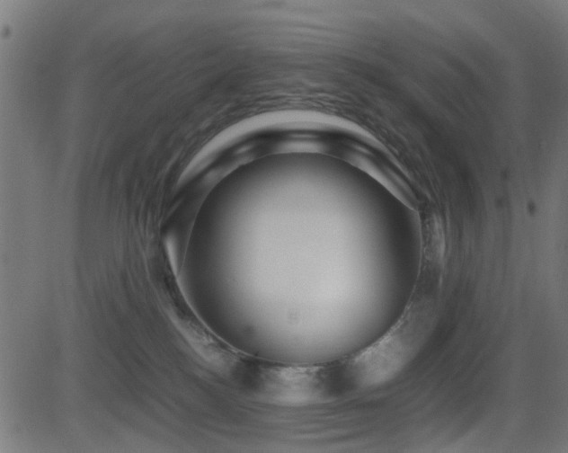 X0000081450184200701121241