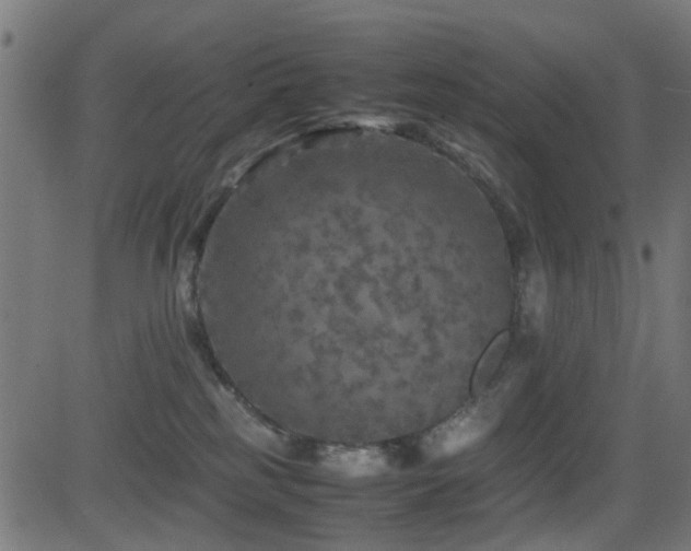 X0000081450185200701121241