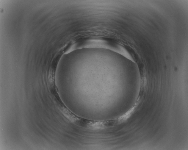 X0000081450186200701121241