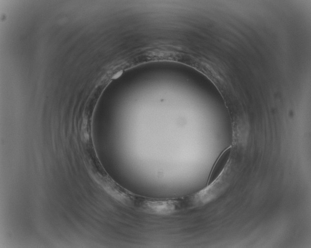 X0000081450187200701121241