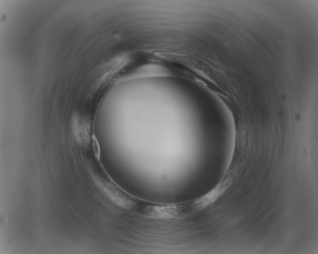 X0000081450188200701121241