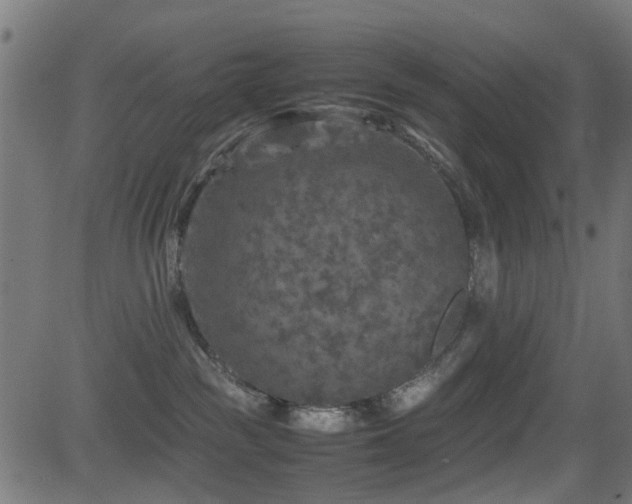 X0000081450189200701121241