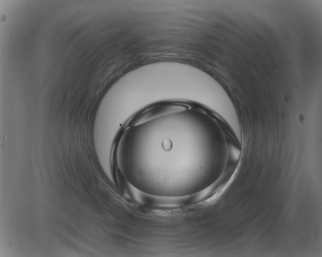 X0000081450190200701121241