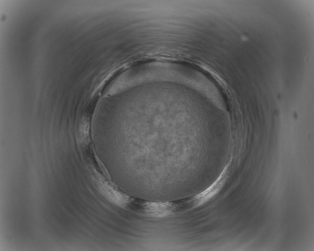 X0000081450192200701121241