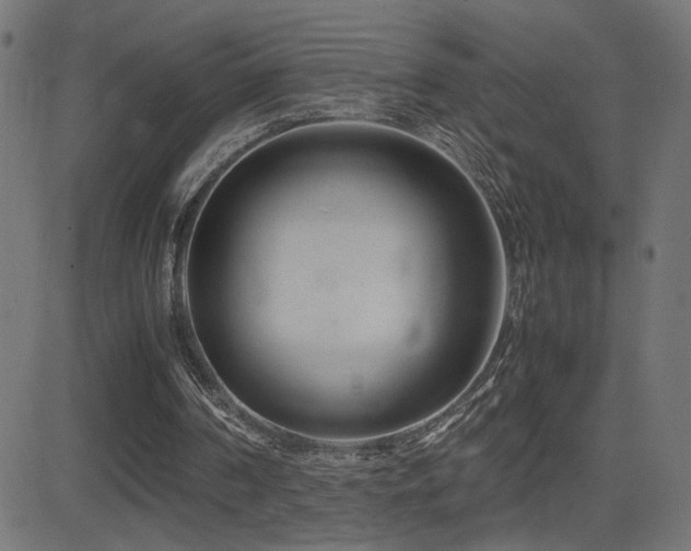 X0000081450194200701121240