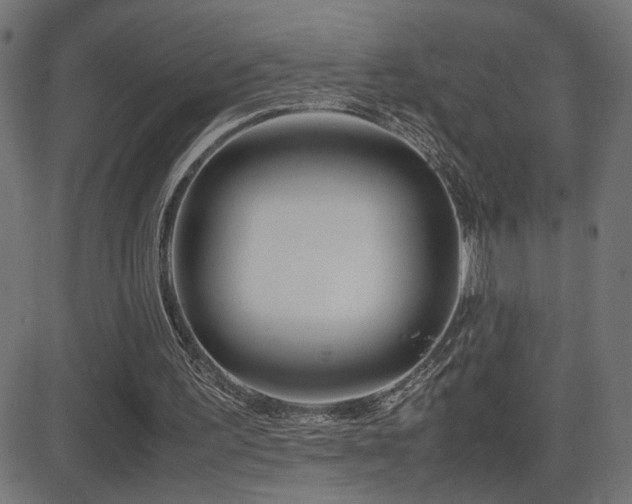 X0000081450195200701121240