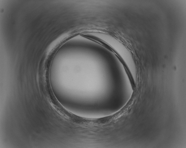 X0000081450197200701121240