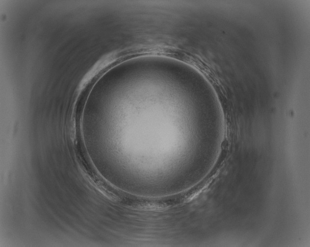 X0000081450198200701121240