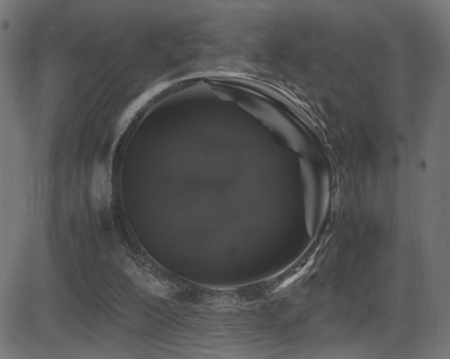 X0000081450200200701121240