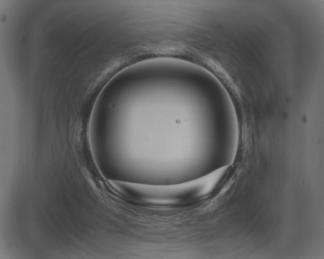 X0000081450201200701121240