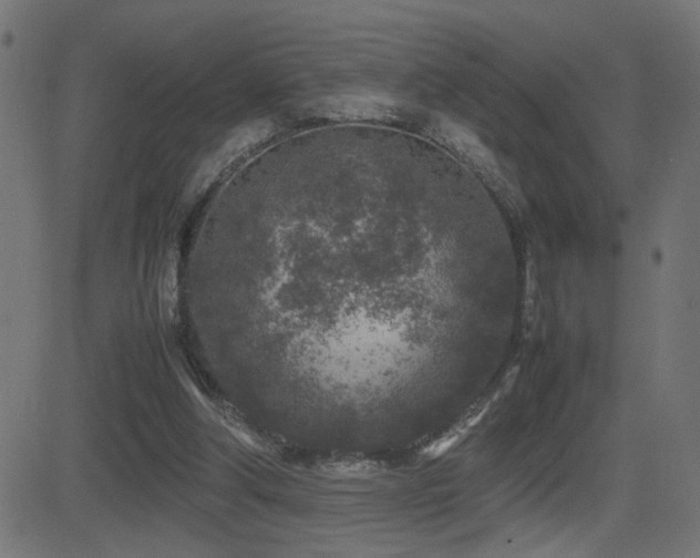 X0000081450202200701121240