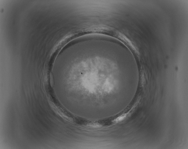 X0000081450203200701121240