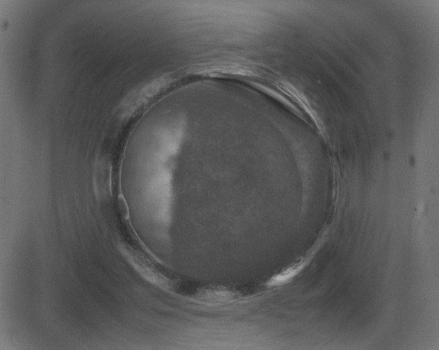 X0000081450205200701121240